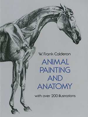 cover image of Animal Painting and Anatomy